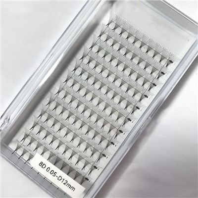 8Д Поинти Премаде Ласх